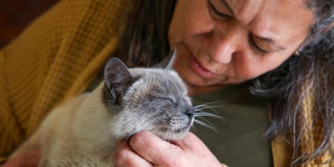 InsureMyRCFE – New Blog Post Images (1)